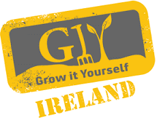 giy logo