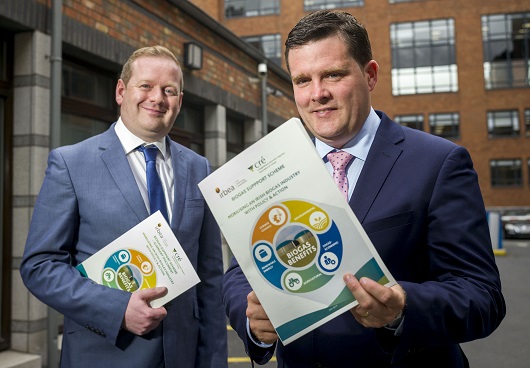 “Mobilising an Irish Biogas Industry with Policy and Action”